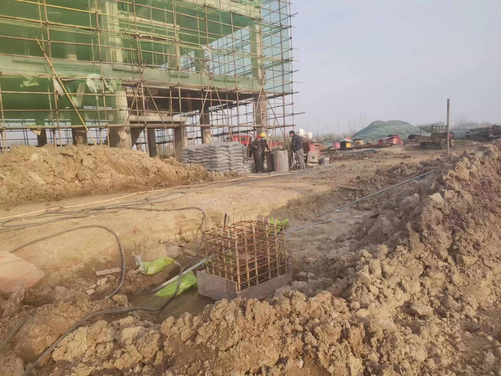 梨树当桥梁出现裂缝的时候应该及时加固修补